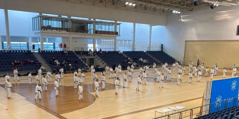 karate-ginasio-vilacondense1