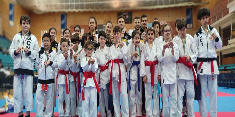 karate-ginasio-vilacondense5